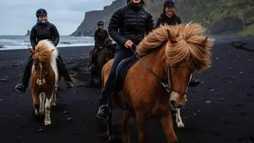 Exploring the Beauty of RV Horse Adventures